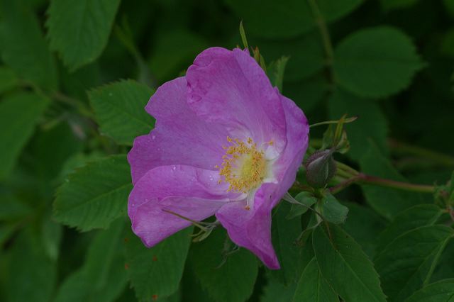 2005-07-04-155.jpg