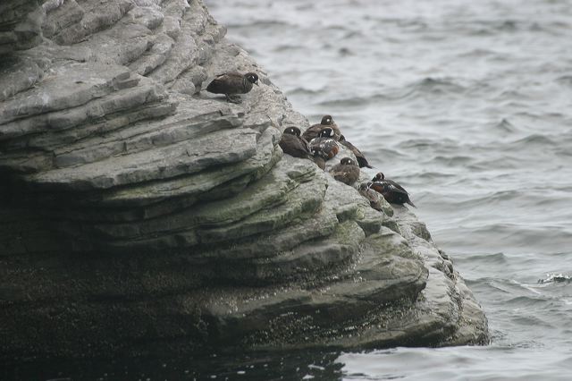 2005-07-04-217.jpg