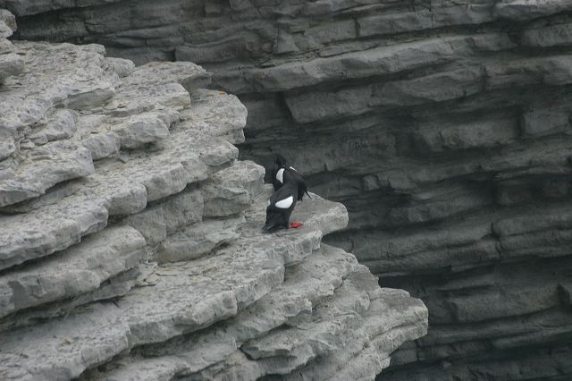 2005-07-04-219.jpg