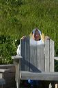 click thumbnail to load image