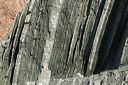 click thumbnail to load image