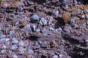 click thumbnail to load image