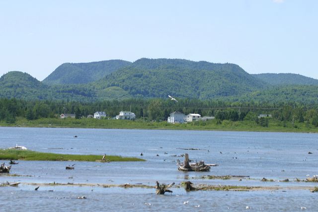 2005-07-05-081.jpg