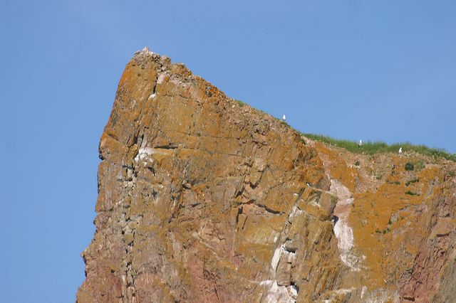 2005-07-05-152.jpg