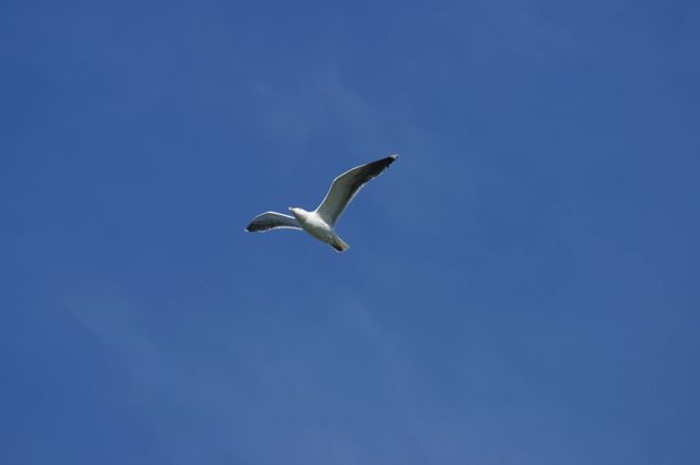2005-07-05-163.jpg