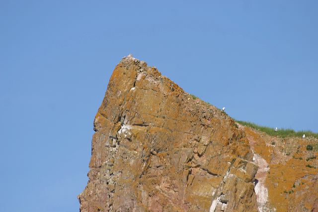 2005-07-06-007.jpg