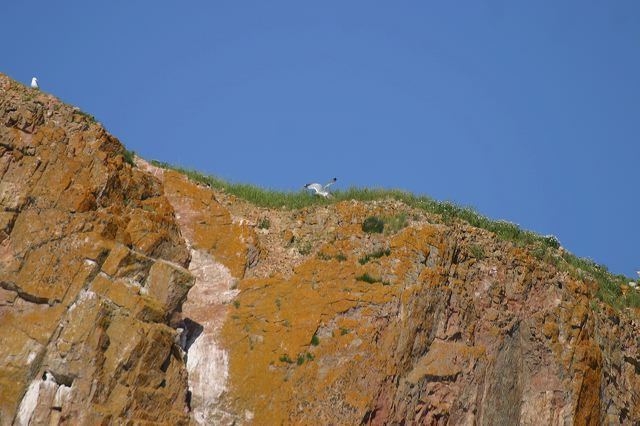 2005-07-06-019.jpg
