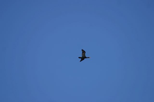 2005-07-06-046.jpg