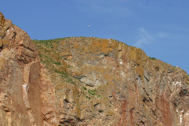 2005-07-06-065.jpg