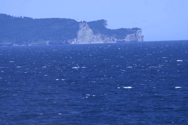 2005-07-06-092.jpg