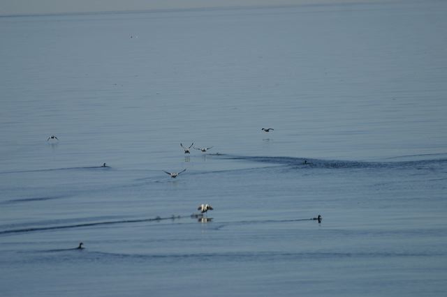 2005-07-07-164.jpg
