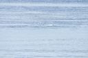 click thumbnail to load image