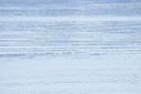 click thumbnail to load image