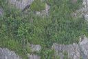 click thumbnail to load image