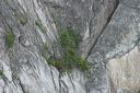 click thumbnail to load image