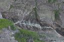 click thumbnail to load image
