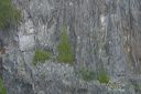 click thumbnail to load image