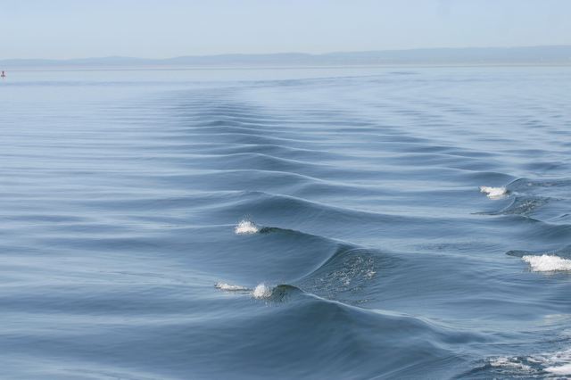 2005-07-08-115.jpg