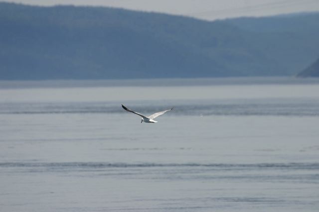 2005-07-08-129.jpg