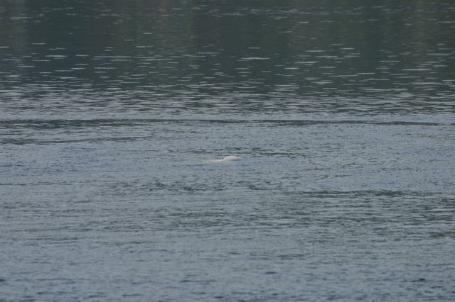 2005-07-08-152.jpg