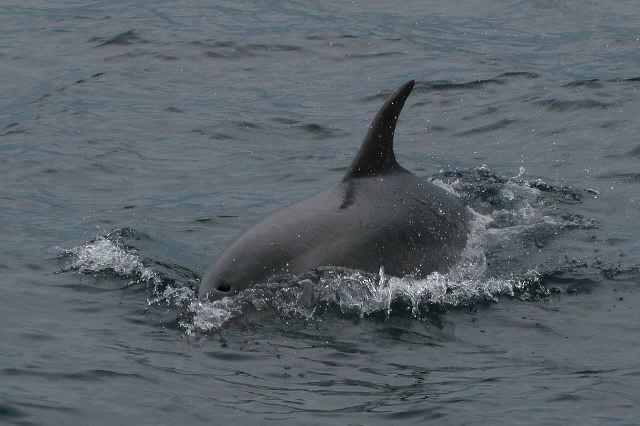 2007-07-01-437.jpg