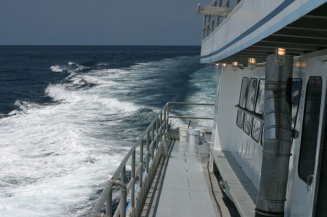 2010-06-03-402.jpg