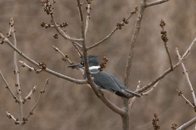2011-04-06-251.jpg