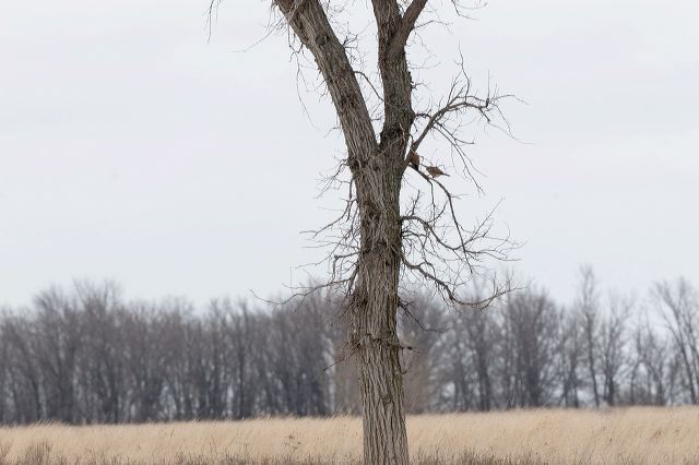 2011-04-06-676.jpg