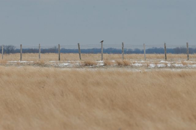 2011-04-06-680.jpg