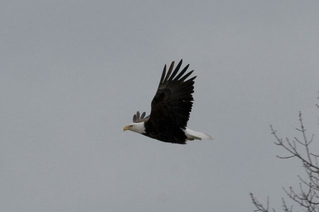 2011-04-06-716.jpg