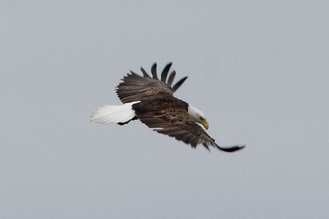 2011-04-06-747.jpg