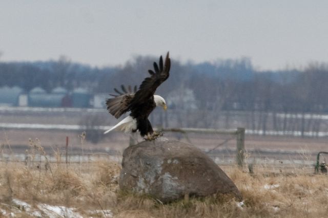 2011-04-06-757.jpg